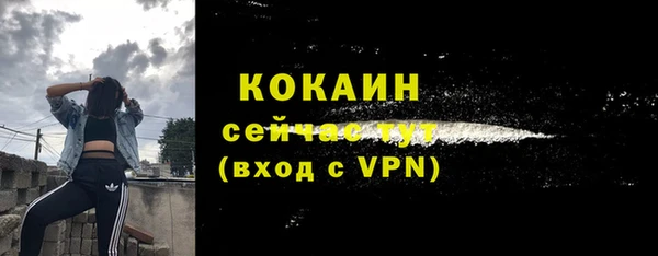 соль курить ск Рославль