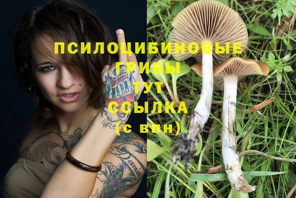 соль курить ск Рославль